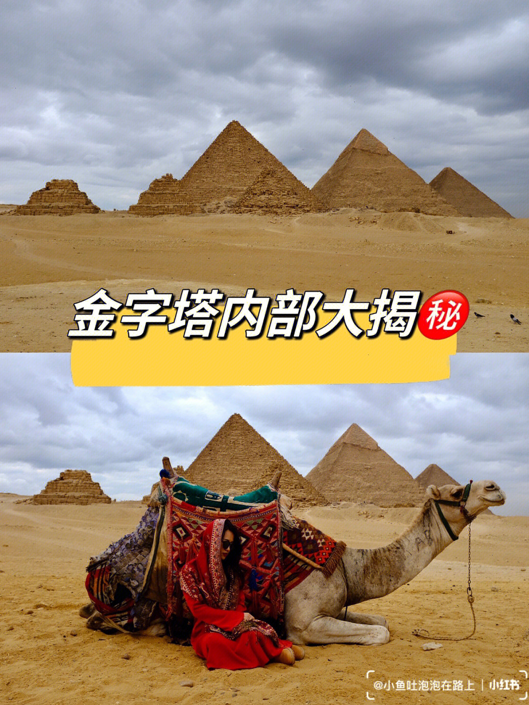 口袋巴士开罗游戏资源_口袋巴士开罗游戏吃货大食堂_开罗游戏口袋巴士