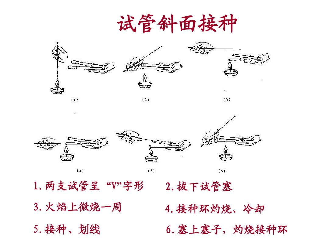 叠塞子怎么玩_叠峰丰胸产品有用吗_恋爱层层叠有塞子