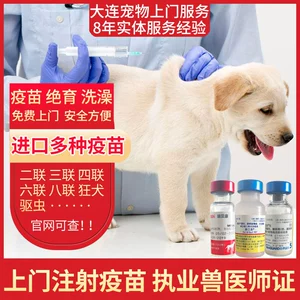 大连宠物上门服务_大连宠物上门喂养_大连宠物店