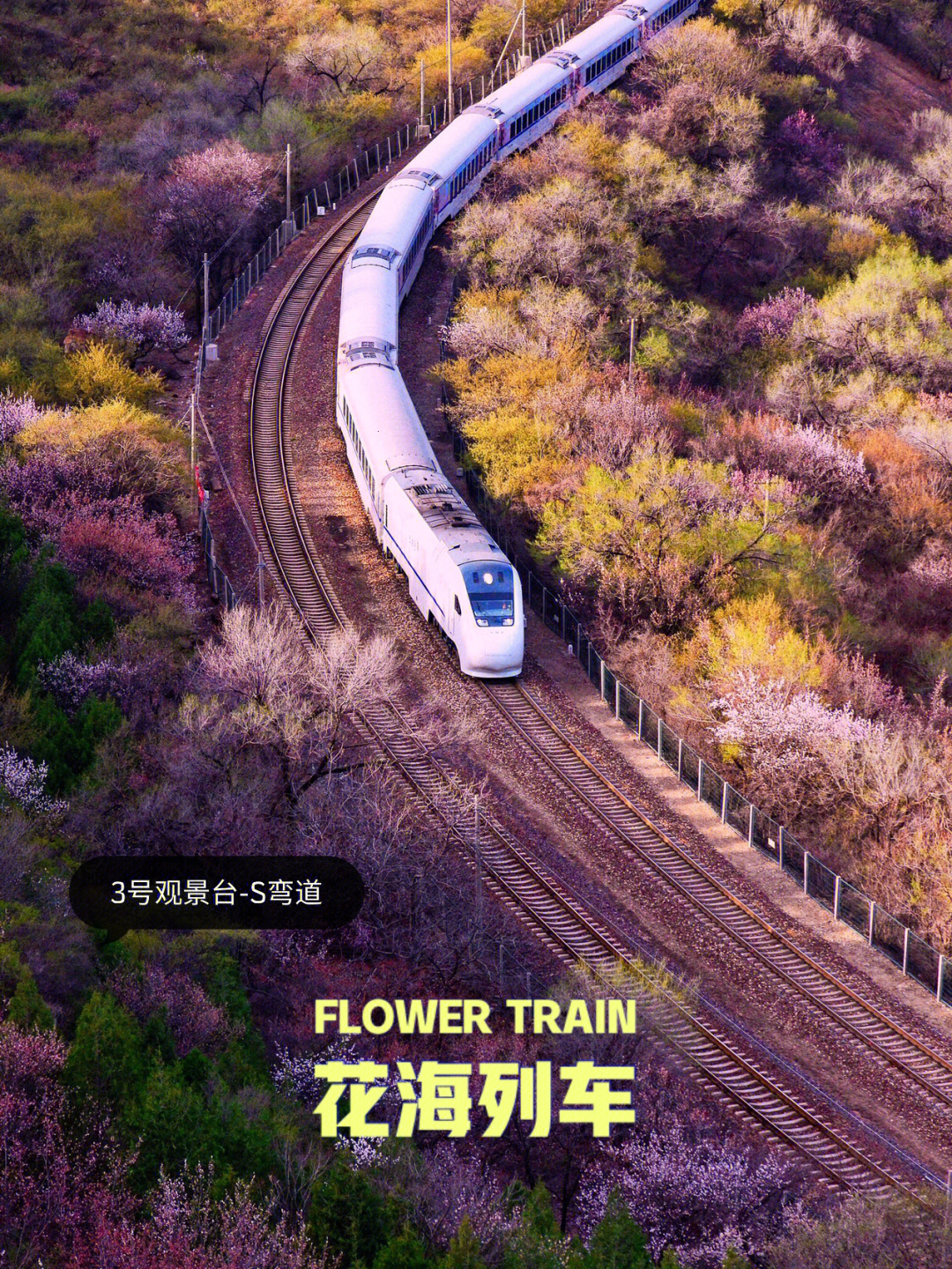 伊苏vs.空之轨迹_伊苏对空之轨迹好玩吗_伊苏vs空轨