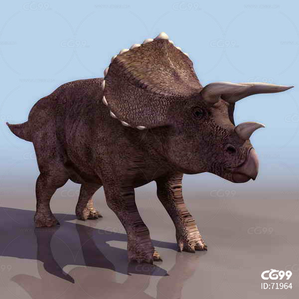 triceratops恐龙_triceratops_triceratops翻译