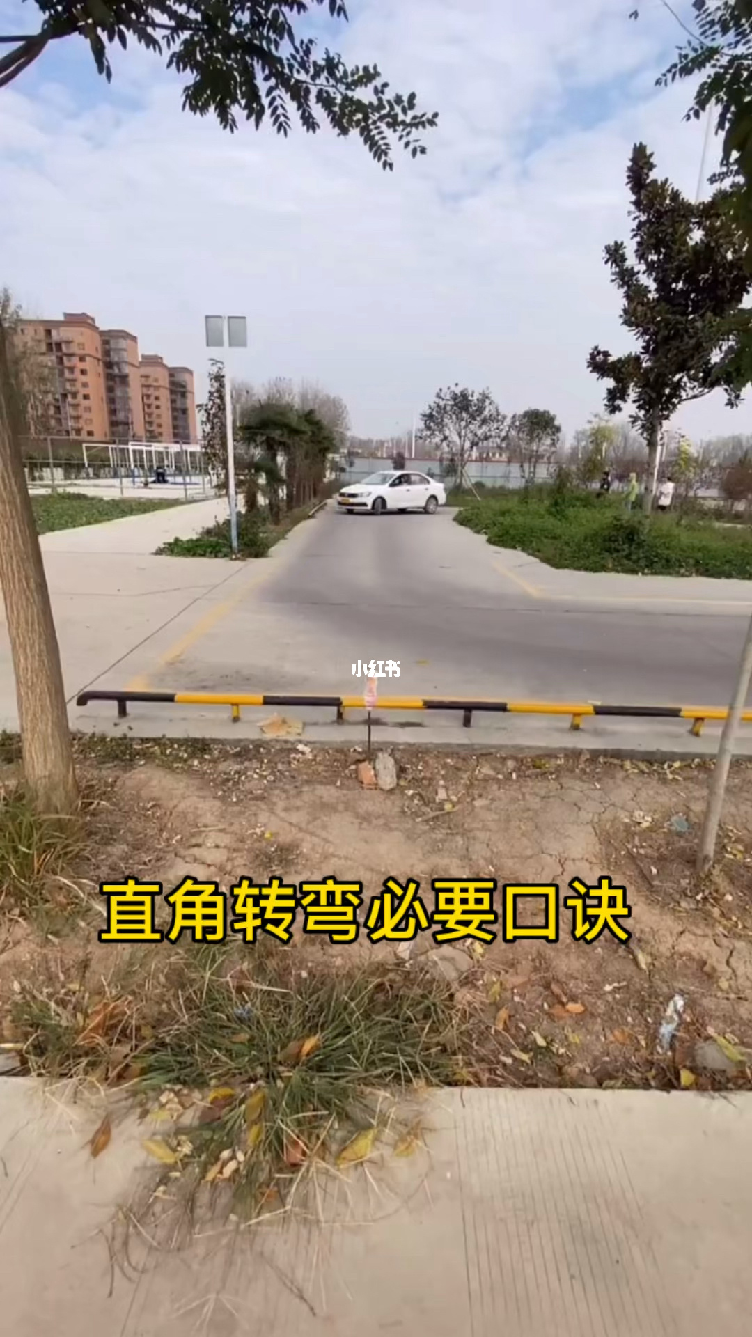 驾照科目考试流程_驾照考试科目三_驾考考试科目