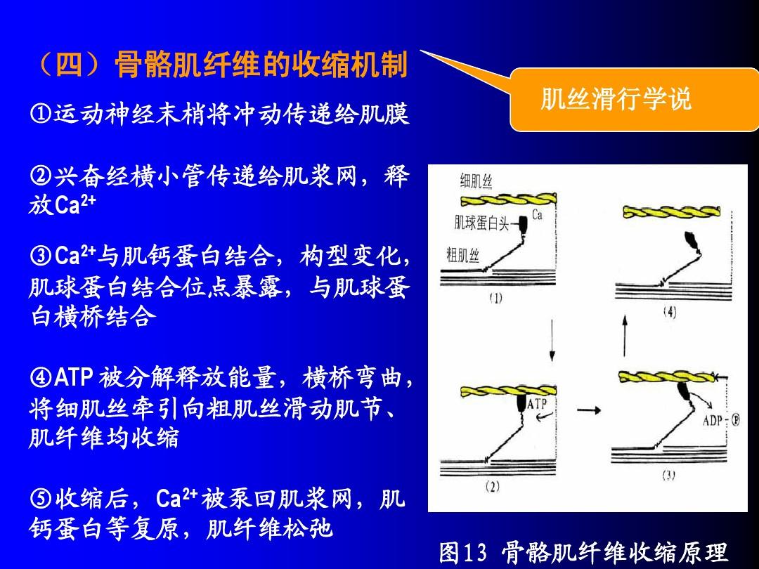 跑步游戏模拟器_qwop跑步游戏_跑步游戏有哪些好玩
