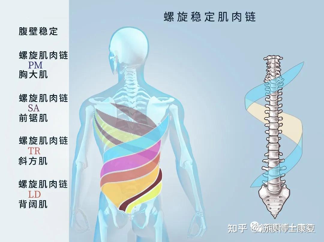 跑步游戏有哪些好玩_跑步游戏模拟器_qwop跑步游戏