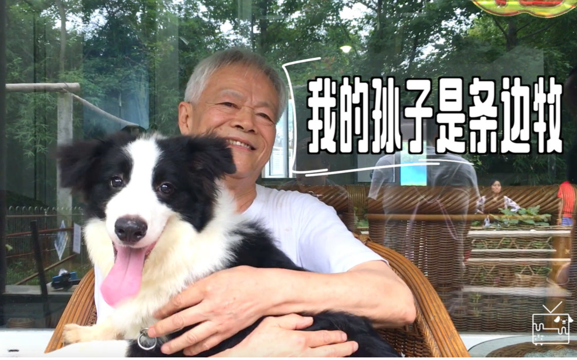 团队协作类型游戏_团队协同的游戏_团队协作游戏 god dog