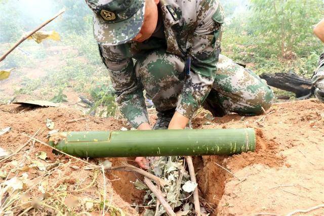 明日方舟资深干员词条一览_明日方舟资深干员搭配支援_明日方舟资深干员tag搭配