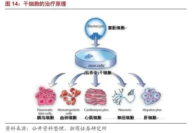 明日方舟：干员tag搭配的战术指南