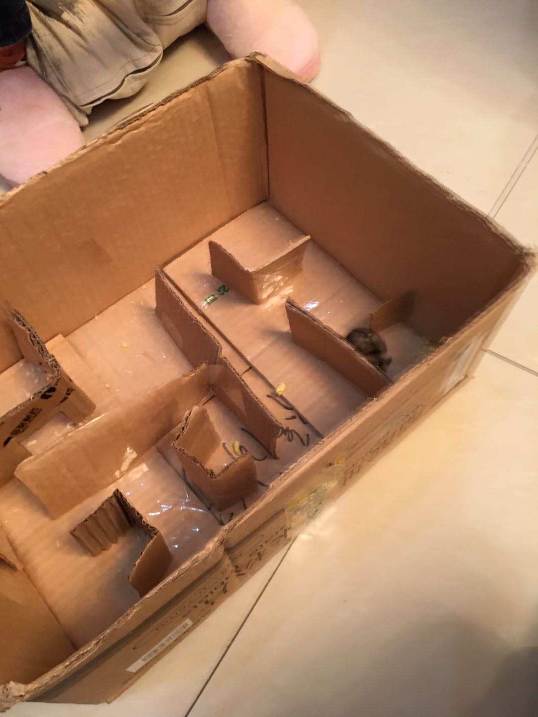 老鼠偷金子的游戏_老鼠板改斑鸠打笼_娱乐游戏 老鼠笼