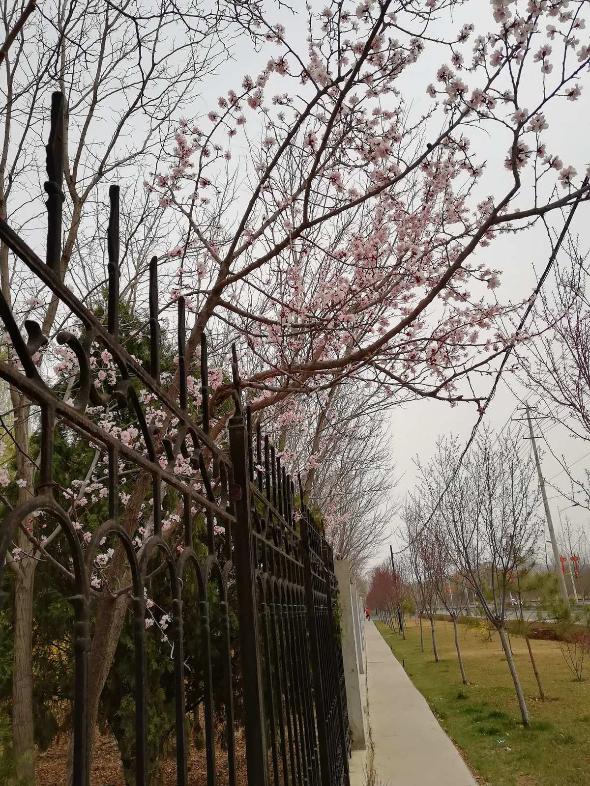 小城春色和小娜妈_小城春色我与小娜妈_小城春色和小娜妈续