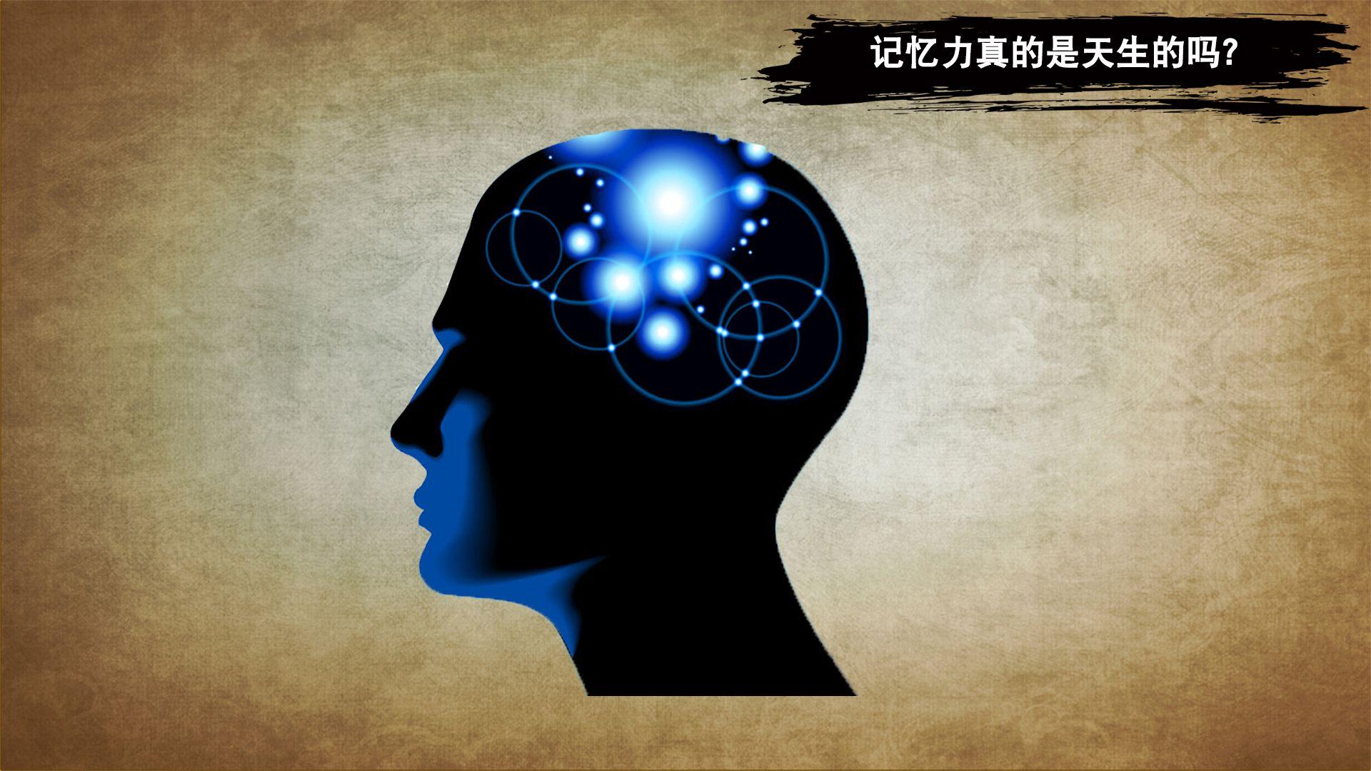 最强大脑第二季水哥视频_最强大脑第一季水哥_最强大脑水哥个人资料