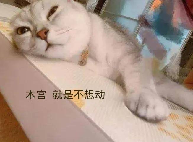 游侠文明6点继续没反应_游侠文明反应继续没点了怎么办_游侠对战平台文明