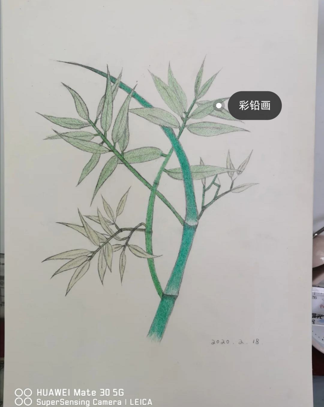 齐来画郑板桥竹_郑板桥集题画竹_郑板桥画竹四十年