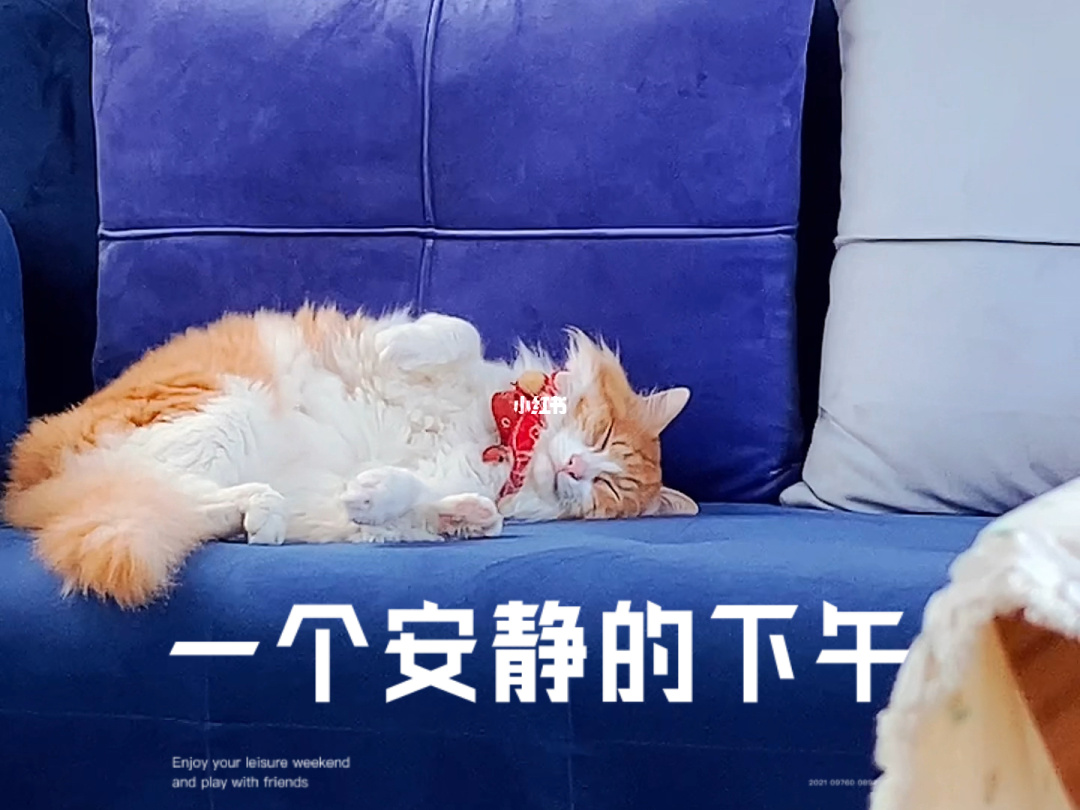 常发豪庭168平_躺平发育_躺平发