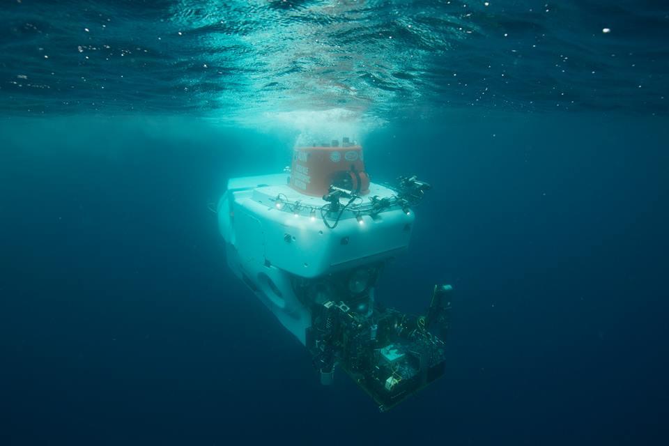 深海迷航攻略_深海攻略迷航怎么开_深海迷航教程怎么过