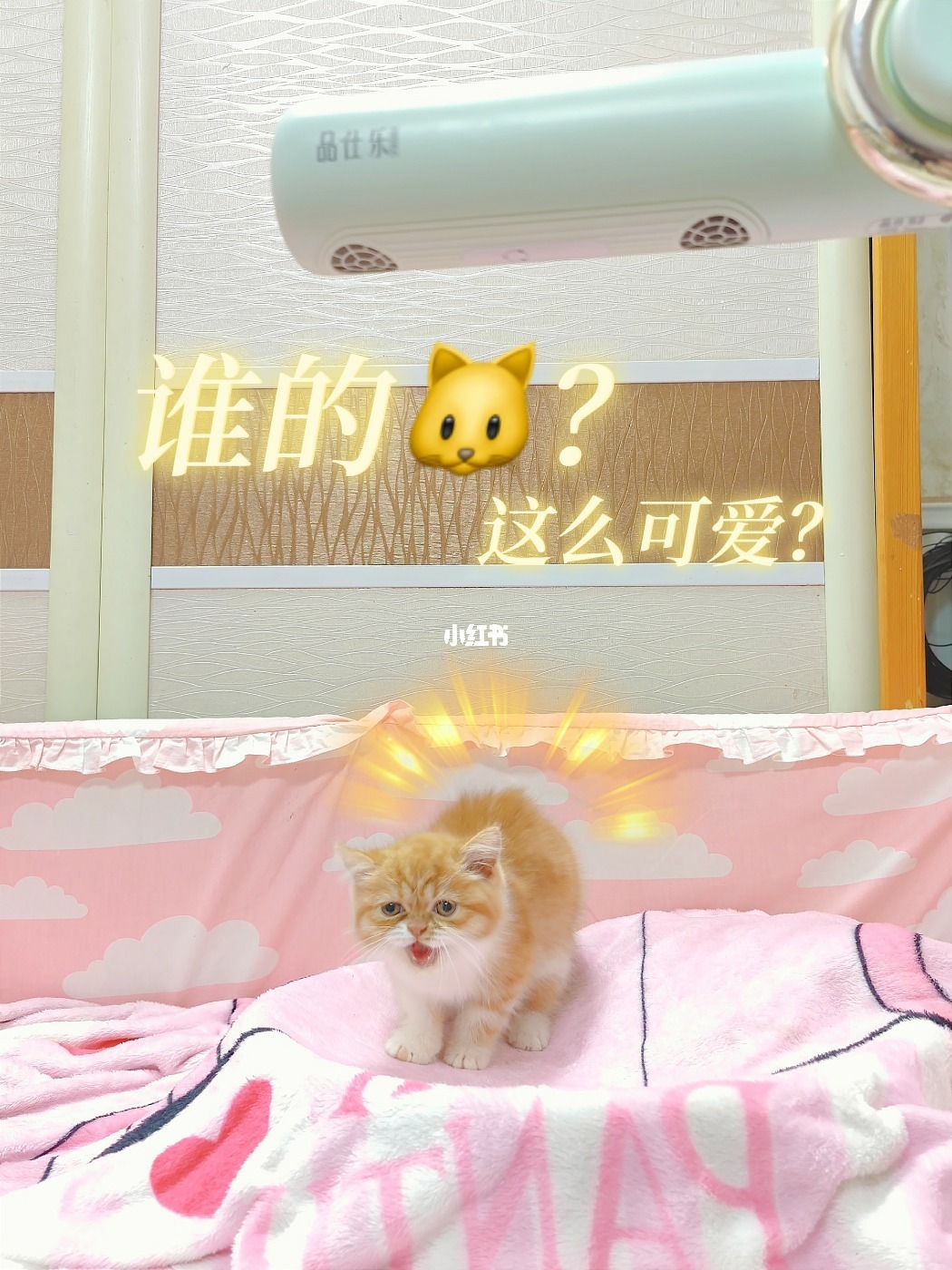 欢遇_秦之遇将军的遇_欢遇相亲平台可靠吗