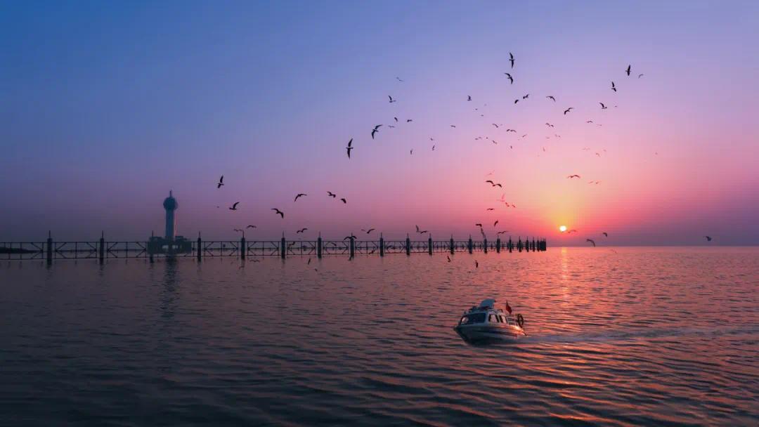 下载我的常州_常州下载核酸检测报告_常州下载什么码