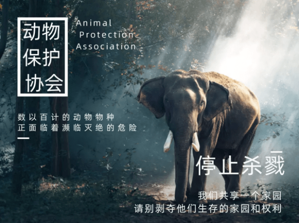 动物大联盟是国内品牌吗_动物大联盟_联盟动物英雄