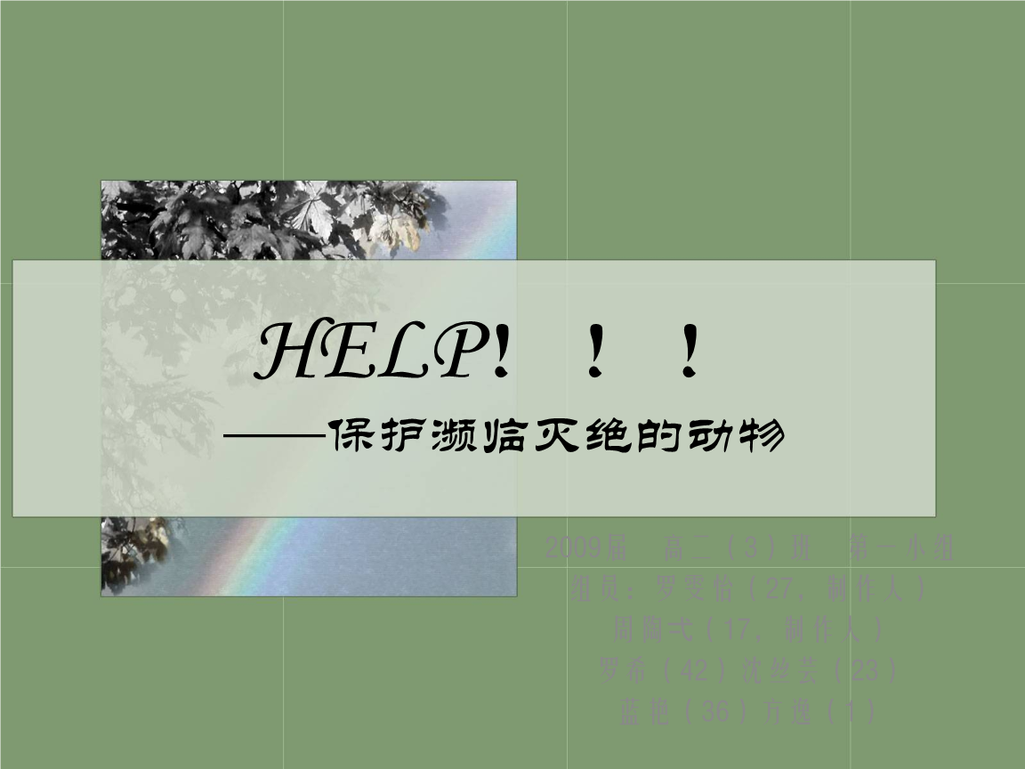 动物大联盟_动物大联盟是国内品牌吗_联盟动物英雄