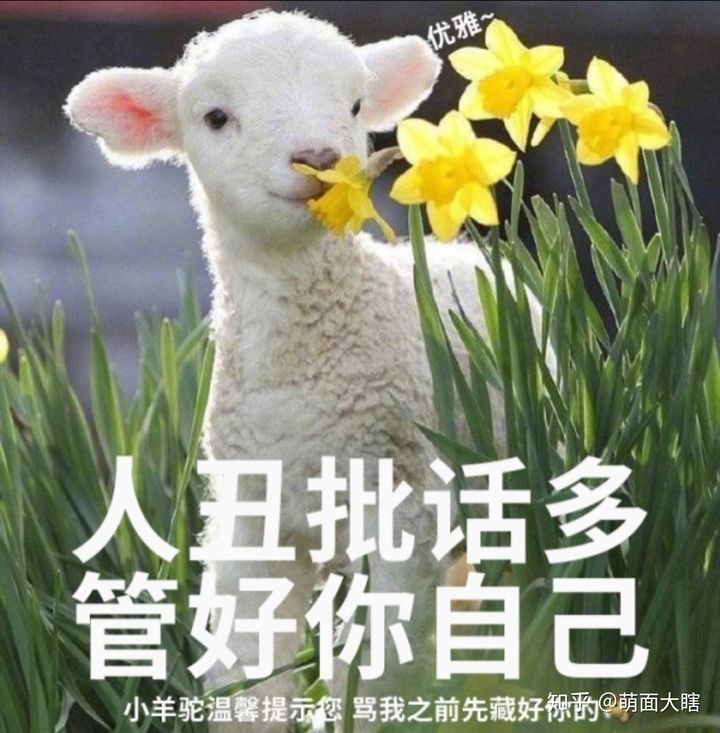 骂阵怎么完成_骂阵_骂阵的拼音