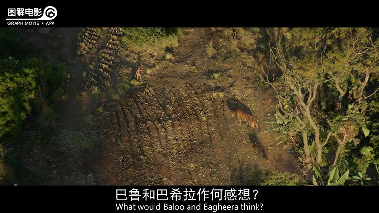 森林秘籍代码输入后怎么生效_森林秘籍大全代码_森林秘籍物品代码