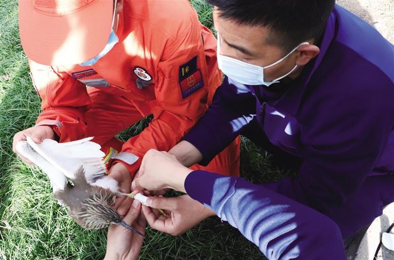 猫咪回老家会跑丢吗_小猫咪回家地址_猫回家是好是坏