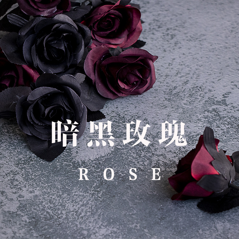 穿越火线夜玫瑰_我想知道穿越火线里面的玫瑰_穿越火线夜玫瑰2017版