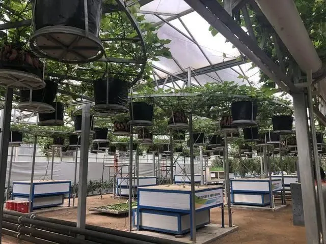 可玩性高的沙盒游戏_游戏推荐沙盒_十大耐玩沙盒游戏
