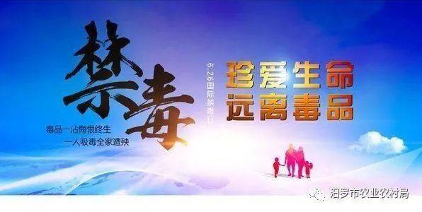 禁毒平台青骄课堂网址_青骄教育禁毒网_青骄第二课堂禁毒教育平台下载