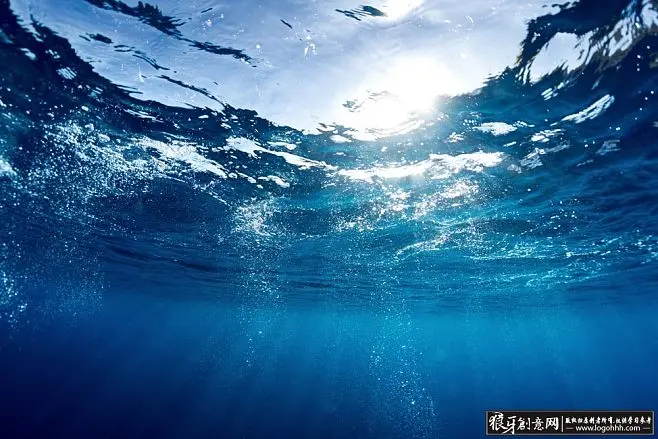海之女_海女与蛸怎么读_海女是什么意思啊