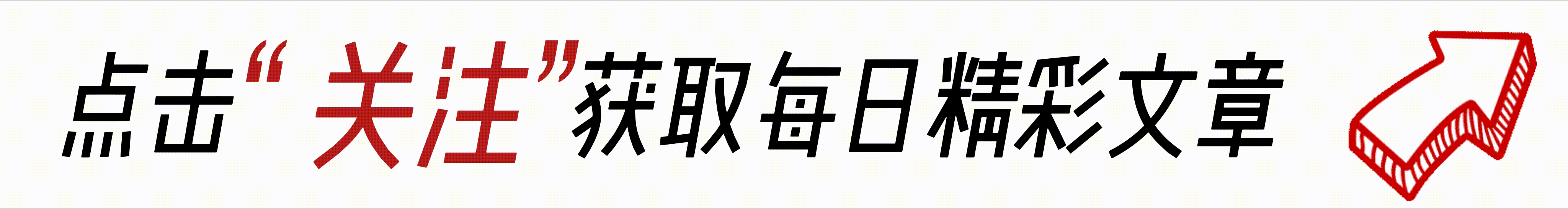 索罗亚克的配招_地域索罗亚克种族值_索罗亚克种族值