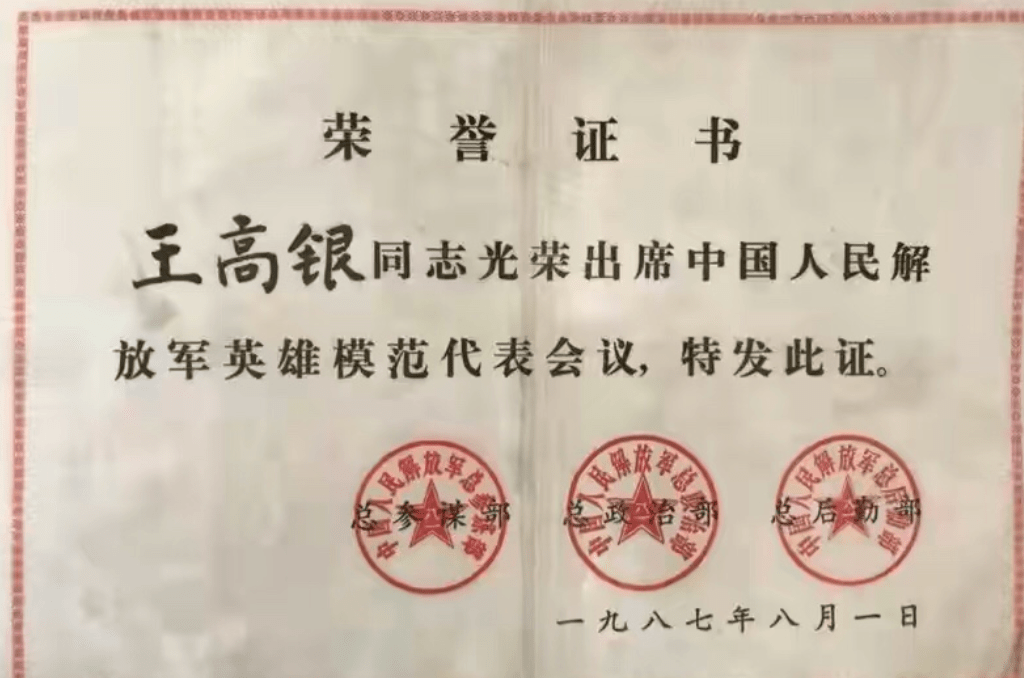 荣誉勋章：战士_勋章荣誉战士有什么用_荣誉勋章2010和战士