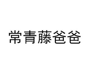 常青藤爸爸怎么样知乎_常青藤爸爸是哪个公司的_常青藤爸爸app
