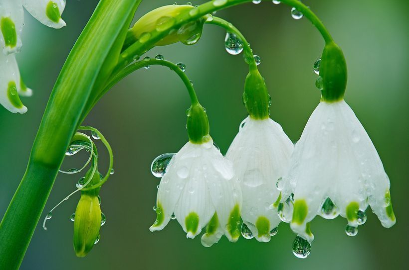 蔚为什么叫楚雨荨_蔚为什么叫楚雨荨_蔚为什么叫楚雨荨