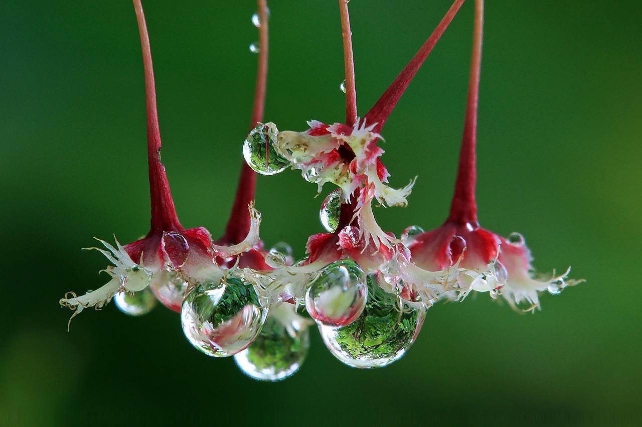 蔚为什么叫楚雨荨_蔚为什么叫楚雨荨_蔚为什么叫楚雨荨