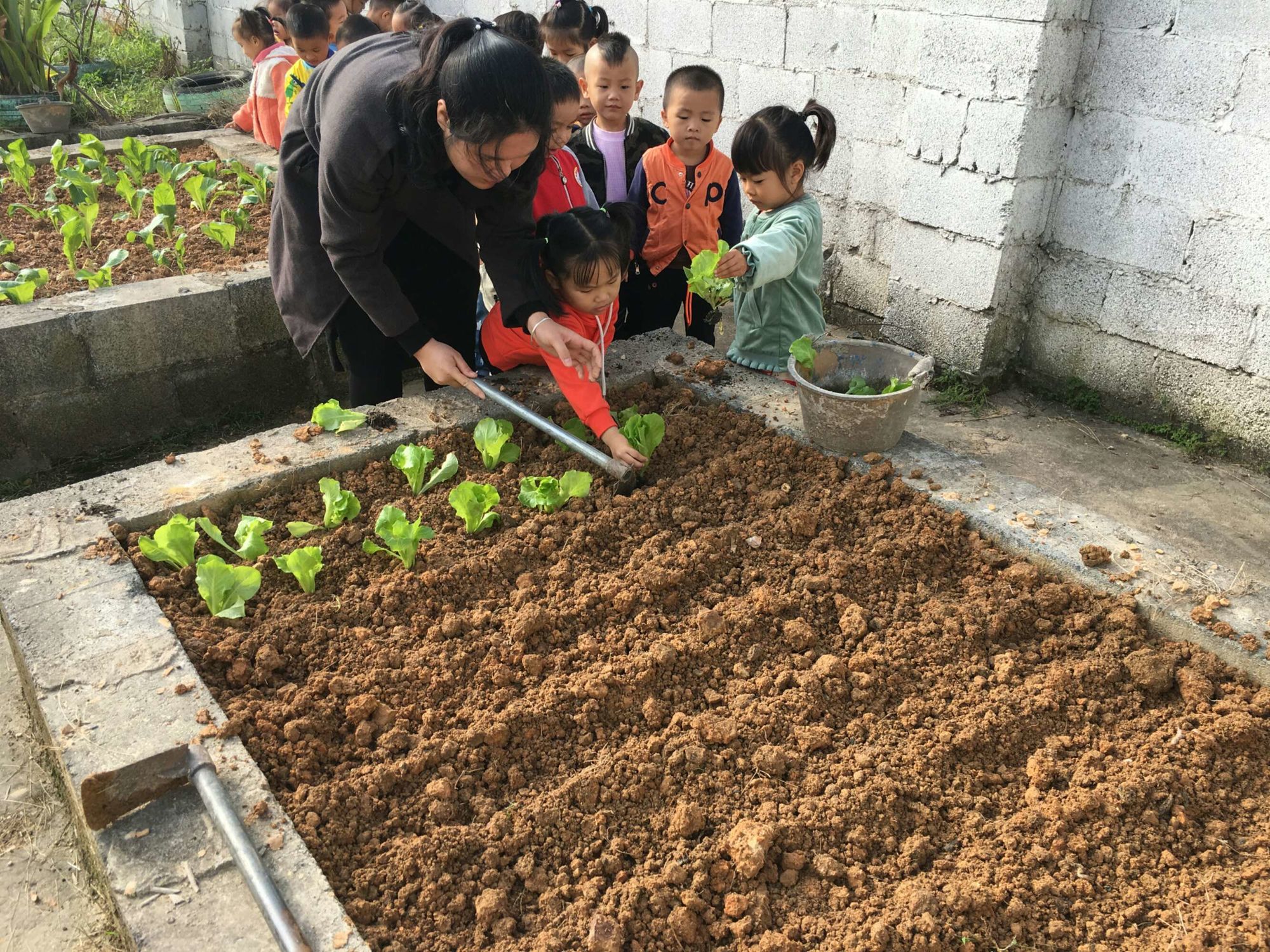 种菜游戏哪个好玩_种菜游戏推荐手游_游戏种菜