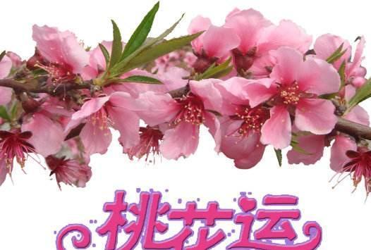 桃花app_桃花app_桃花app
