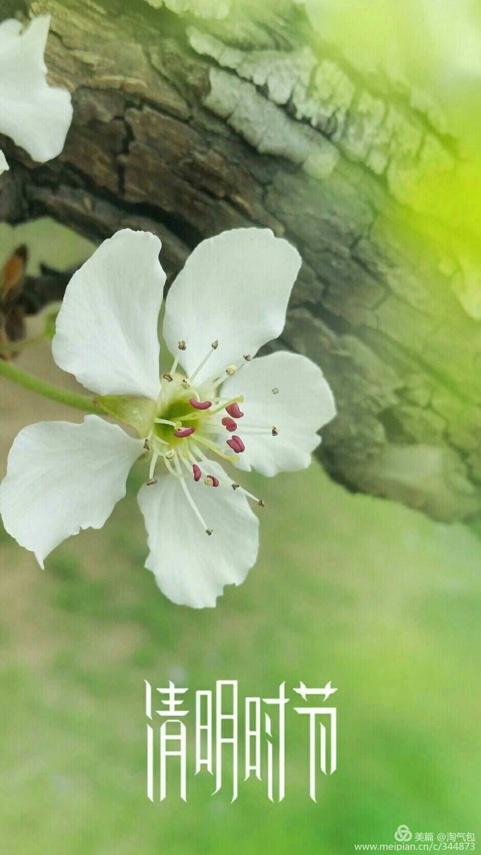 空投柏林_空投网_空投箱