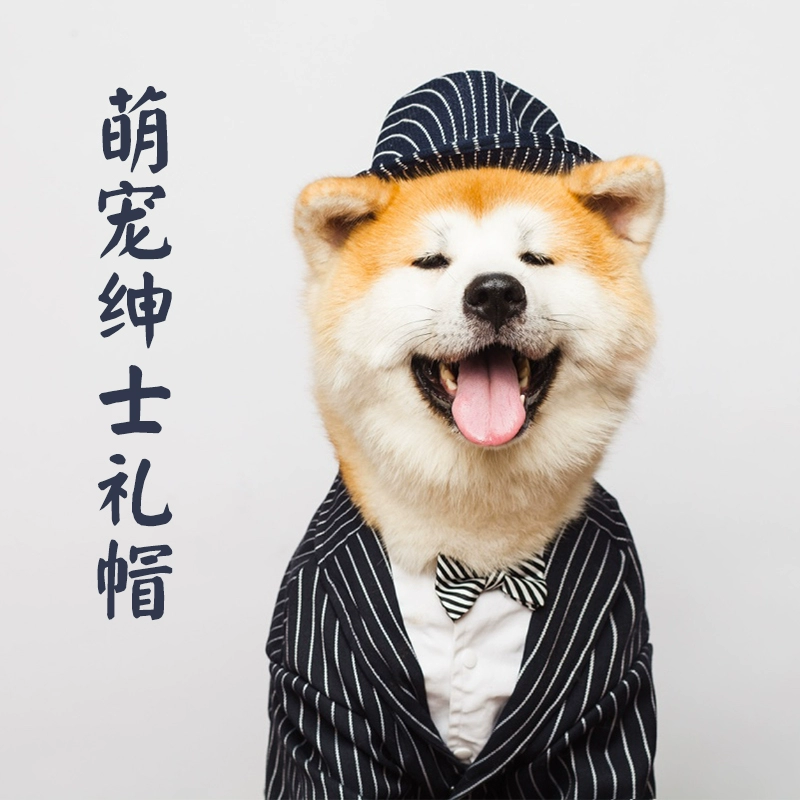 狗先生读后感400字_狗先生_狗先生恐怖游戏