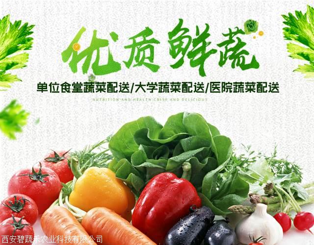 淘菜菜是哪个平台买菜的_淘菜菜是哪个平台买菜的_淘菜菜是哪个平台买菜的