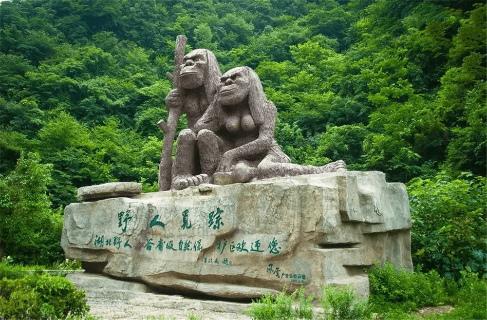 森林游戏可以上女野人吗_森林游戏可以上女野人吗_森林游戏可以上女野人吗