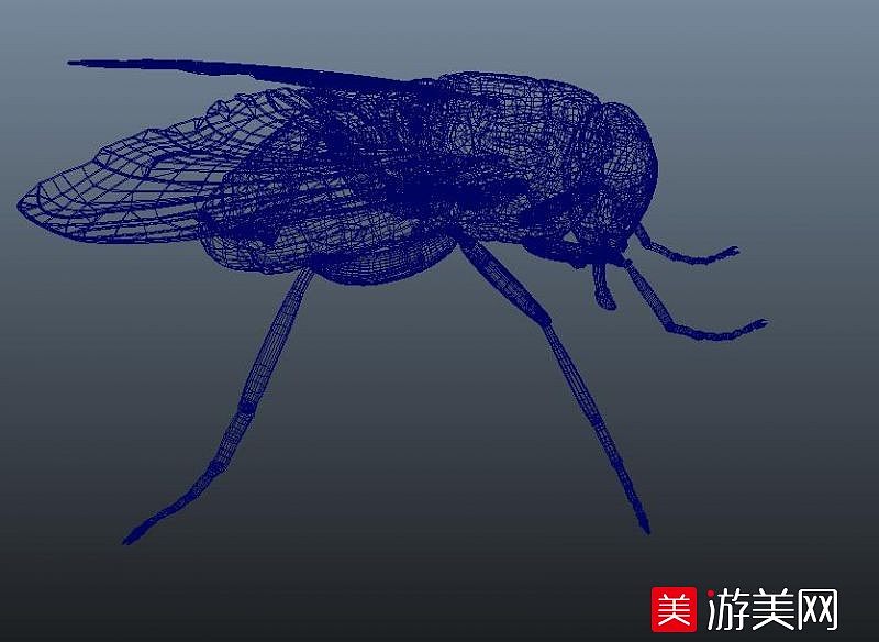 筷子夹苍蝇_用筷子夹苍蝇的电影_用筷子夹住苍蝇