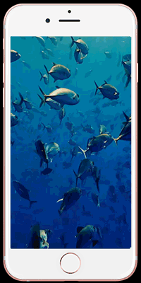 壁纸大全动态APP免费_壁纸囍动态_动态壁纸大全