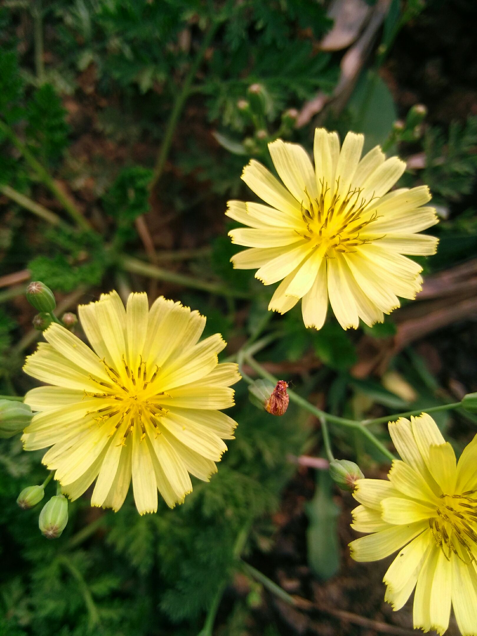 野花社区www_野花社区www_野花社区www