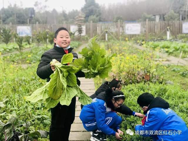 田园女什么意思_田园女的意思_网络名词田园女是什么意思