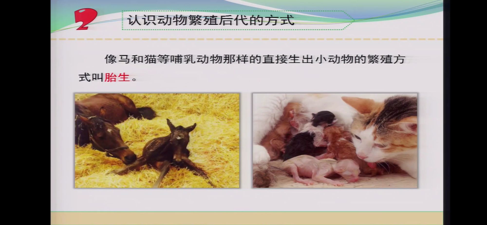 我的世界村庄种子_繁殖村庄_繁殖村庄1.2汉化版