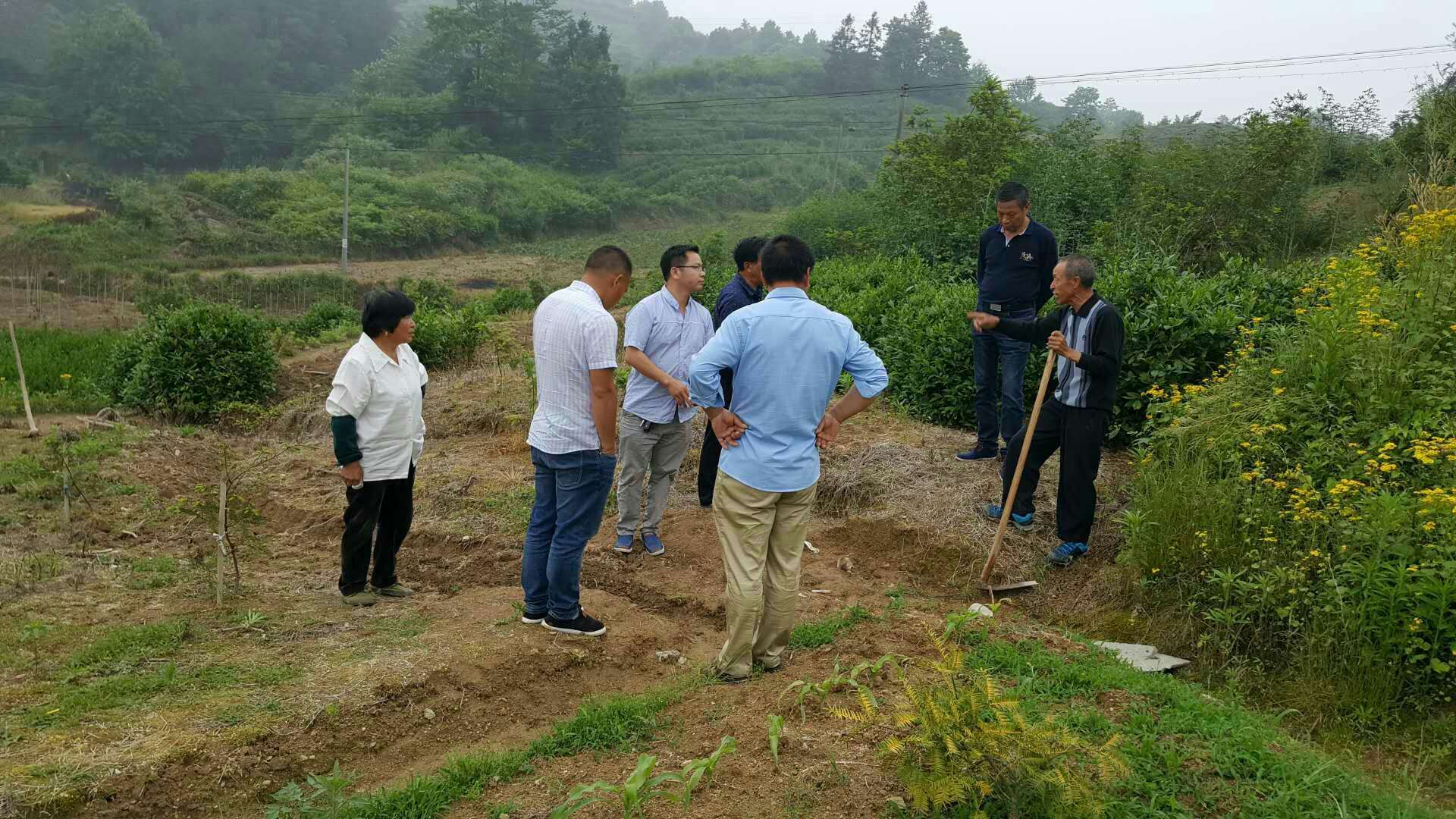 农村生活视频素材_我的农村生活_农村生活发朋友圈说说