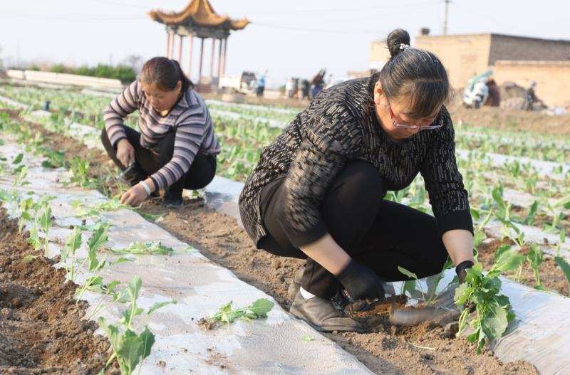 农村生活视频素材_我的农村生活_农村生活发朋友圈说说
