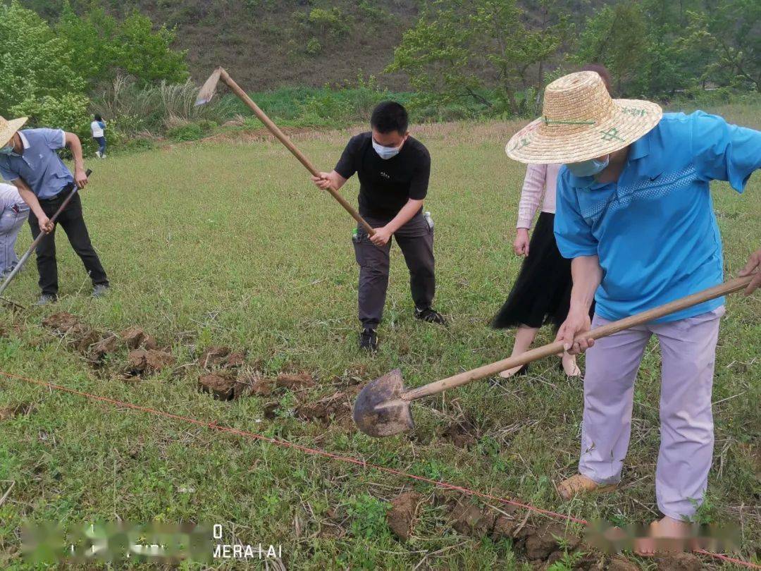 我的农村生活_农村生活视频素材_农村生活发朋友圈说说