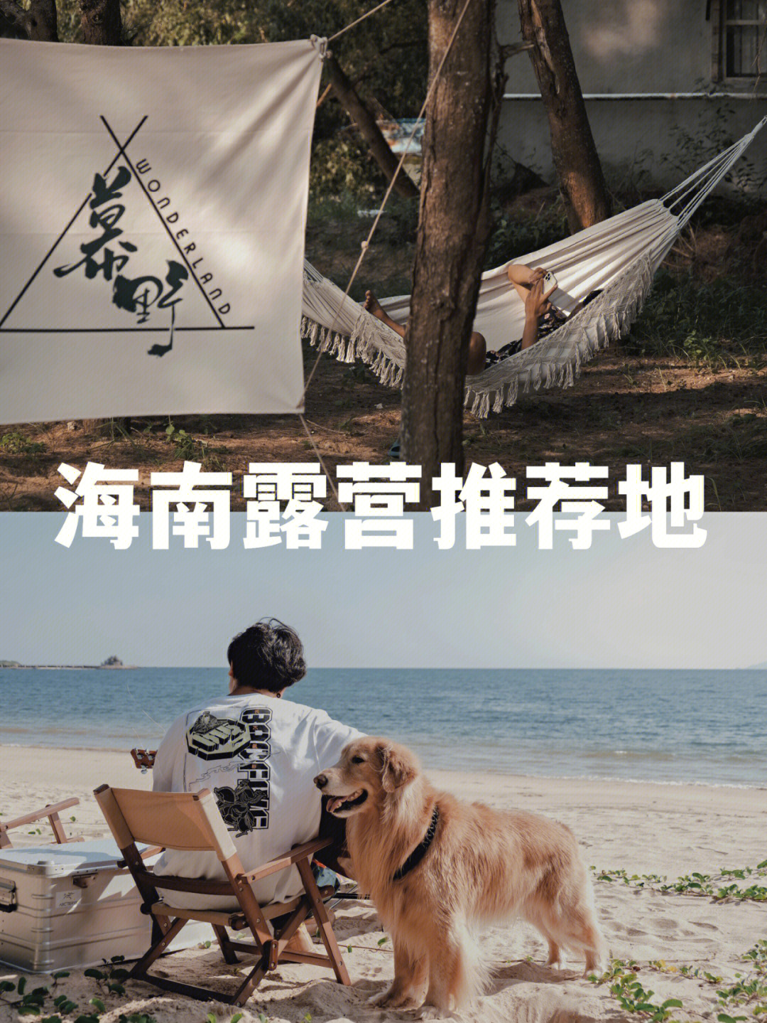 无敌流浪汉官方版_无敌流浪汉中文版免费下载_无敌流浪汉6