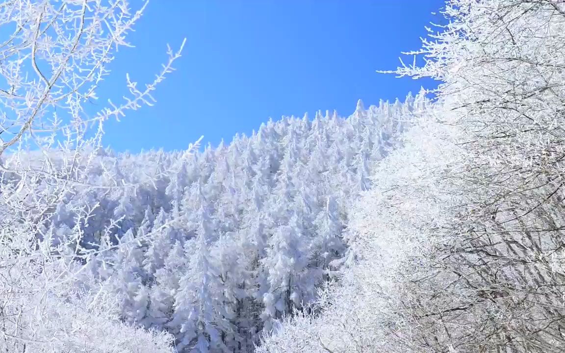 风雪山林_山林风雪声_山林风雪小说
